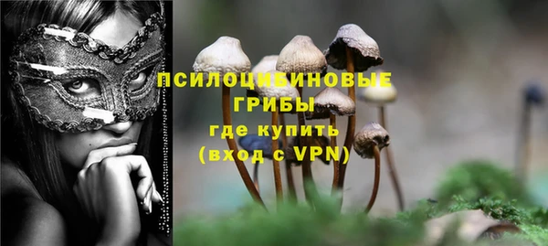 ALPHA-PVP Нягань