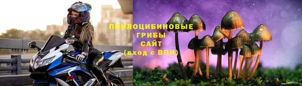 mdpv Няндома