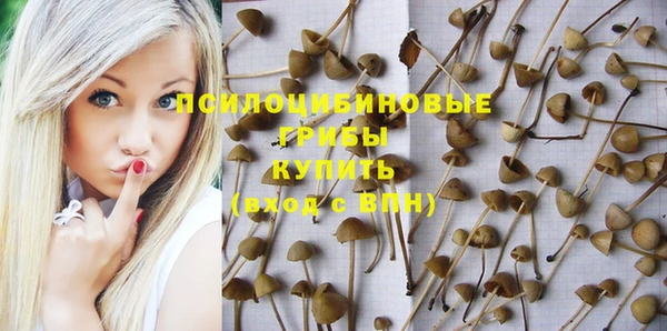 mdpv Няндома