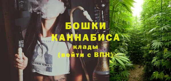 mdpv Няндома