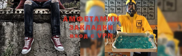 шишки Абаза